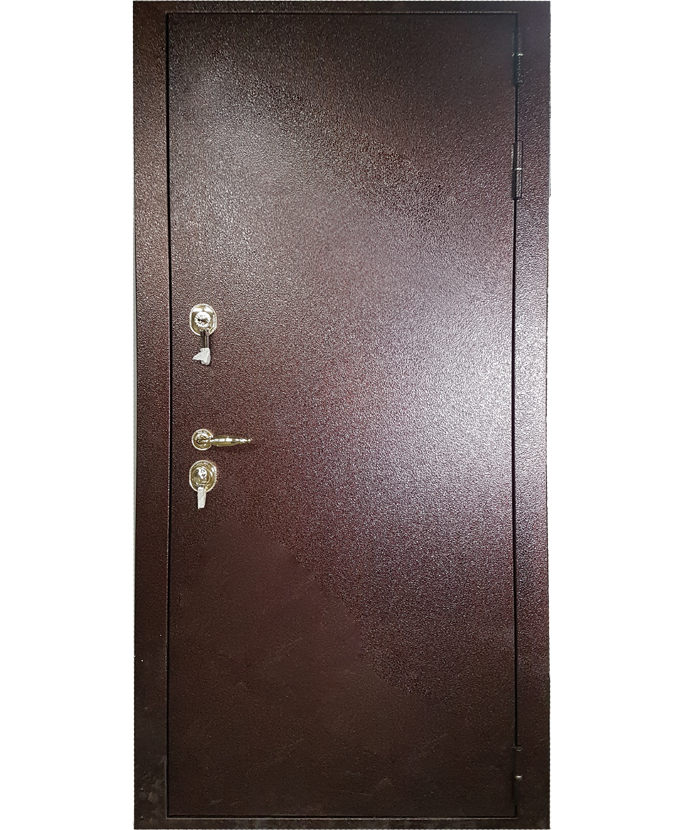 Дверь металлическая на дачу Порошок 3069