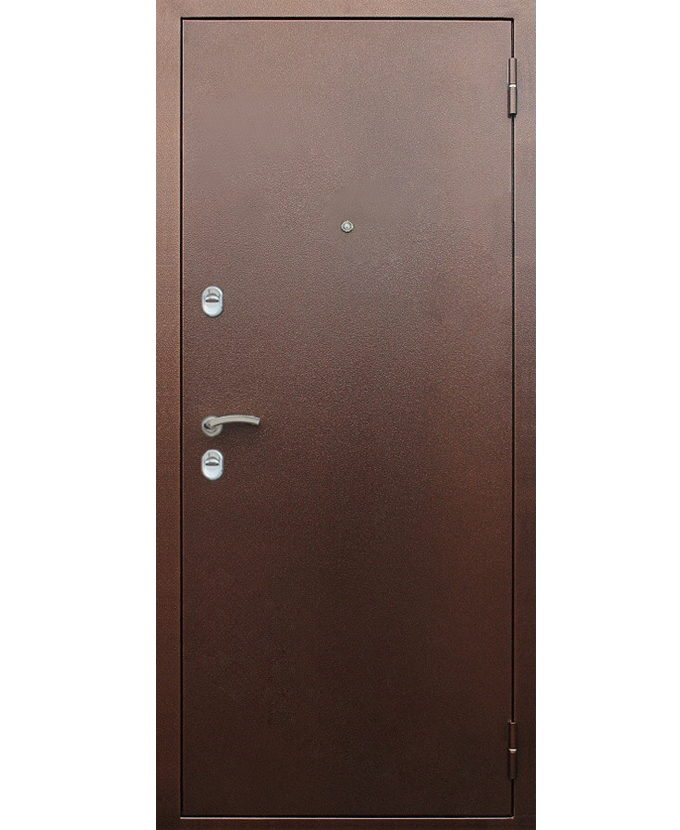 Дверь железная входная офисная Порошок 0029