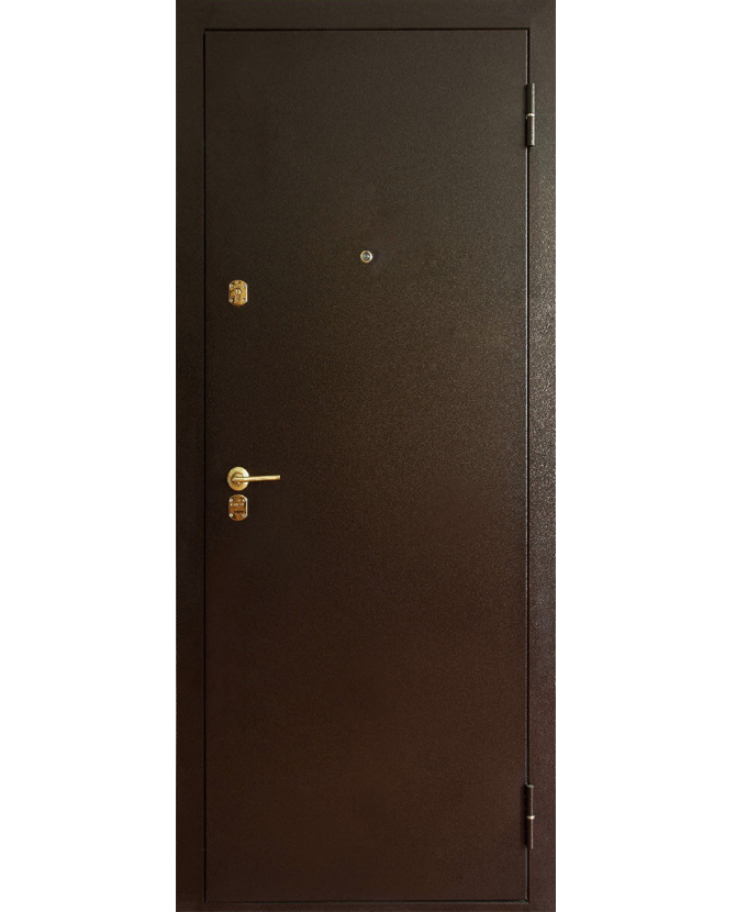 Железная дверь на дачу Порошок 3072