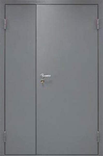 Железная входная техническая дверь Порошок 605