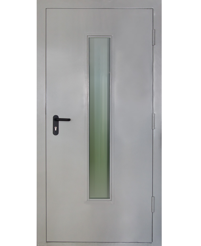 Дверь тамбурная железная порошок со стеклом 2011