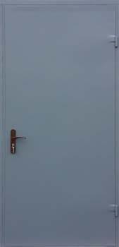 Металлическая техническая дверь Порошок 601