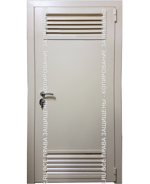 Железная входная техническая дверь Порошок 647
