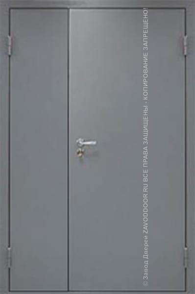 Железная входная техническая дверь Порошок 605