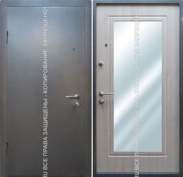 Железная дверь Порошок/МДФ с зеркалом 204